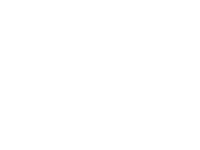 brasal inc